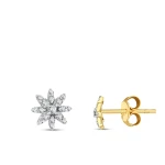 0,21 Karat Diamantohrringe