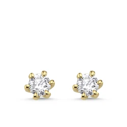 0,30 Karat Diamant-Solitär-Ohrringe